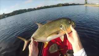 Jacks off the seawall and the Snook that got away Caloosahatchee River [upl. by Ramhaj]