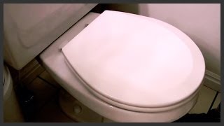 How to replace a toilet seat [upl. by Nyliac]