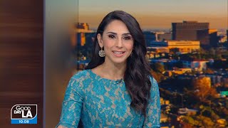 FOX 11 Good Day LA Araksya Karapetyans Special Update on the Armenian American Museum [upl. by Rodi]