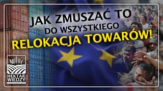 RELOKACJA TOWARÓW❗️  HEKTAR WIEDZY [upl. by Allare]