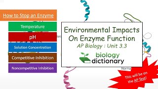 Environmental Impacts on Enzyme Function  AP Biology 33 [upl. by Nal]