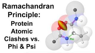 Ramachandran Principle Protein Atomic Clashes vs Phi amp Psi [upl. by Wynnie356]