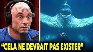 JRE Des Scientifiques Trouvent Des Créatures Terrifiantes Vivant Au Fond De La Fosse Des Mariannes [upl. by Nivlam435]