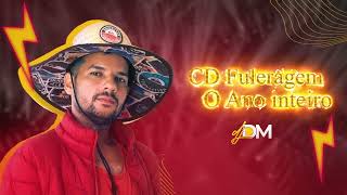 DJ DM CD COMPLETO  FULERAGEM O ANO INTEIRO [upl. by Marga]