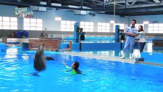 【Ocean Park Channel】Ocean Park InsideTrax Episode 8  Dolphin My Pals Part 1 HD 1080 [upl. by Hafler821]