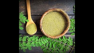 ECONOMIC VALUE OF MORINGA ZAMBIAS EXPERIENCE [upl. by Carlie648]