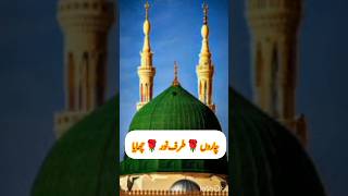 charo taraf noor chaya  charo taraf noor chaya owais raza qadri [upl. by Morgun]