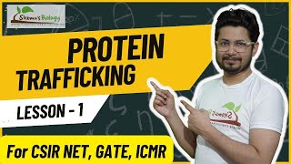 Protein trafficking CSIR NET  Protein trafficking pathway in cell  Protein trafficking mechanism [upl. by Audley]