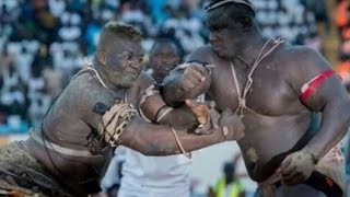 Senegalese Wrestling knockout Gris Bordeaux Malick Niang les Lutteurs Boxeurs Champions des KO [upl. by Irene]