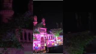 Maharaja Palace maharaja palace trending shorts viralvideo ytshorts [upl. by Naggem]