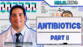 Antibiotics Folic Acid Pathway Inhibitors Part 2 [upl. by Borszcz267]