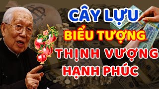 Trồng Cây Lựu Phúc Lộc Đầy Nhà Giàu Có 3 Đời Tiêu Sài Không Hết [upl. by Lovel]