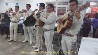 Mariachis CDMX Cumbias angeles azules  rayito colombiano [upl. by Louisa144]