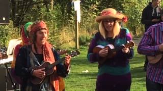 ENJOY YOURSELF  Wirksworth Ukulele Orchestra Wuzzalele [upl. by Waller]