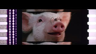 Charlottes Web 2006 35mm film trailer scope 4K [upl. by Kelsi]