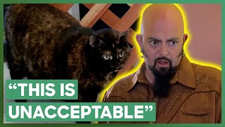 Jackson Galaxy Helps A Couple With Their “Jekyll and Hyde” Cat  My Cat From Hell [upl. by Shaia]