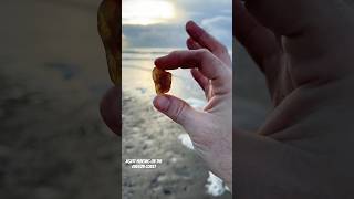 Fall and winter are great for finding beautiful agates washed up on the Oregon Coast oregon pnw [upl. by Eikcor]