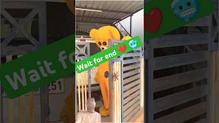 Ticke ticka funny comedy teddybear prank funnyshorts tranding [upl. by Lizned]