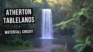 The Atherton Tablelands Waterfall Circuit  Australia travel guide to Millaa Millaa Falls  Cairns [upl. by Micheline]