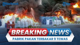 🔴BREAKING NEWS Kebakaran Pabrik Pakan Ternak PT Jati Perkasa Nusantara di Bekasi 9 Orang Tewas [upl. by Okihsoy728]