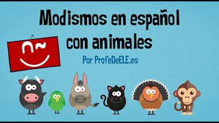 Expresiones en español con animales [upl. by Aicala]