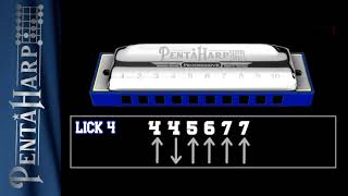 PentaHarp Harmonica in Am  Blueslicks without bendings [upl. by Ormand]