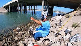 PACKERY CHANNEL FISHING FOR SHEEPSHEAD [upl. by Ssitruc]