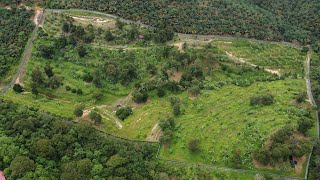 龍邦果园 kalumpang fruit farm [upl. by Brottman]