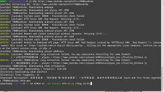 howtouserytdlp  咋用ytdlp [upl. by Irvin]