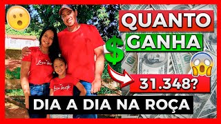 Veja QUANTO GANHA CANAL DIA A DIA NA ROÇA ATUALIZADO 2024 [upl. by Nosyrb]