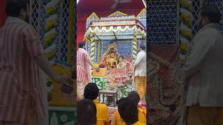 Shri RadhaVallabh Mandir Vivah Utsav Aarti Vrindavan [upl. by Aifas]