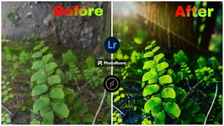 AI BACKGROUND PHOTO MACRO EDITING lightroom lensdistortions photoroom [upl. by Chubb]