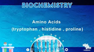 L2 part 2 Amino acids metabolism 2  Tryptophan histidine proline   Biochemistry [upl. by Relyuhcs]