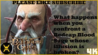 Baldurs Gate 3 What happens when you confront a Redcap Blood Sage whose illusion is broken [upl. by Esserac]