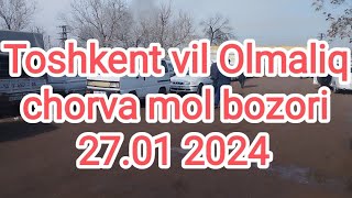 Toshkent vil Olmaliq chorva mol bozori 27012024 akalar👍👍👍 esdan chiqmasin [upl. by Koerner]