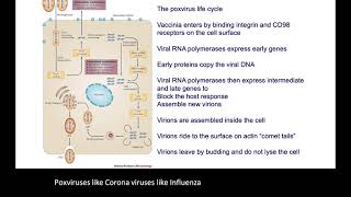 Poxvirus 1 with audio [upl. by Nojad]