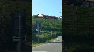 1175 ATTRAVERSANDO LE LANGHE382024 [upl. by Sonafets918]