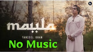 MAULA YA SALLI  No music version  Tanzeel Khan  Ramzan special naat  2022  naat tanzeelkhan [upl. by Iretak280]