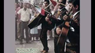 Mariachi Reyes del Aserradero El Burro Polillas [upl. by Myrwyn]