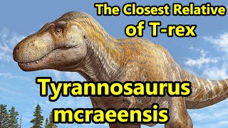 Tyrannosaurus mcraeensis The Closest Relative of T rex [upl. by Yannodrahc]