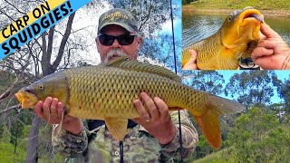 HOWTO Catch Carp On Squidgies Soft Plastics — Sight Fishing [upl. by Yelkao]