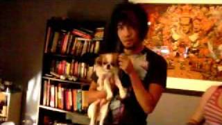 Singing Radiohead to a dog rockband [upl. by Charbonneau]