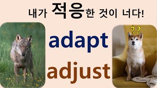 Q5 English 어휘 Lesson 781 조절하다적응하다 – adjust vs adapt [upl. by Handbook574]