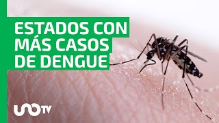 Dengue en aumento alerta en estos 5 estados así se contagia [upl. by Snowman]