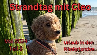 Strandtag mit Cleo in den Niederlanden 2024  Teil 3 [upl. by Seto]