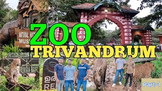 Trivandrum zoo  Kerala  Tourist places in Trivandrum  Thiruvananthapuram Zoo  Trivandrum Museum [upl. by Nnairrek]