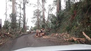 Aftermath of Mount Dandenong Storms June 9th 2021  Must see until end [upl. by Vilhelmina]