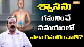 శ్వాసను గమనించే సమయంలో ఎలా గమనించాలి  Dhyani Bhava Ep 6  Seth Balakrishna  PMC Telugu [upl. by Annaesor952]