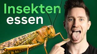 Insekten essen Ist das gesund [upl. by Namilus]