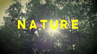 What Have We Done For Nature Lyric Video  Piney Gir [upl. by Negaem]